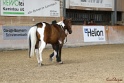 23-APHA SS_021